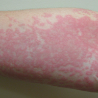 Captura de tela 2025-07-16 205105